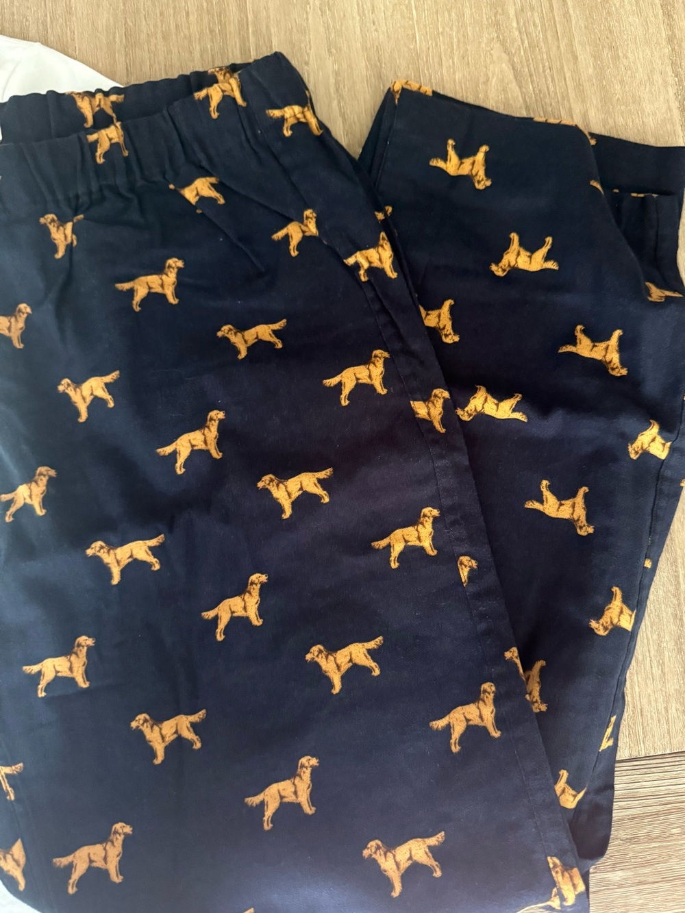 J. Crew Factory Women’s Holiday Lights Sleep Retriever Dog 2PC Pajama set Med - Picture 4 of 7